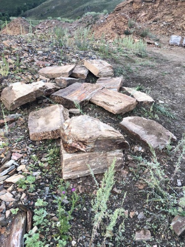 Плитняк кора дерева 50-100мм для пошаговых дорожек купить в Татарске